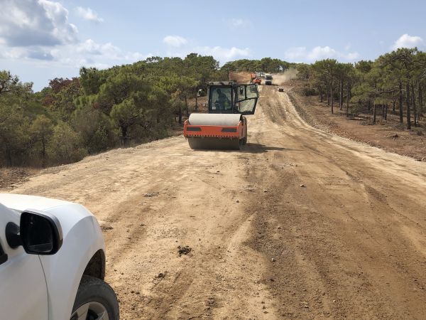 Cost of Driveway Grading in Sandpoint