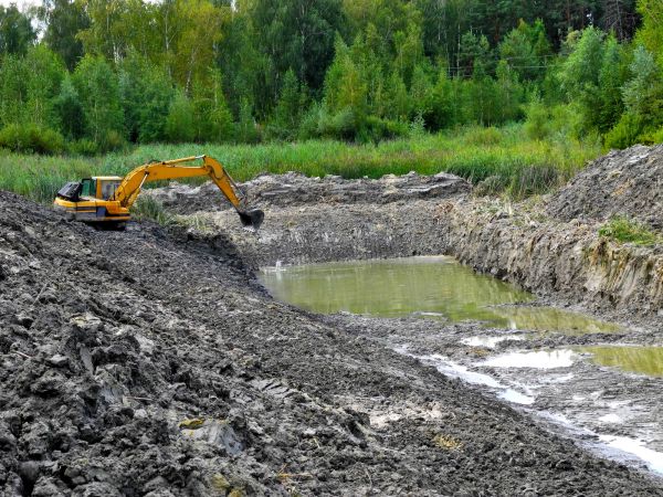 Fish Pond Digging in Sandpoint