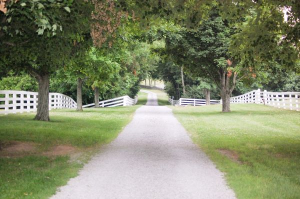 Gravel Driveway Construction in Sandpoint