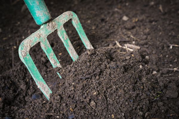 Cost of Topsoil Spreading in Sandpoint