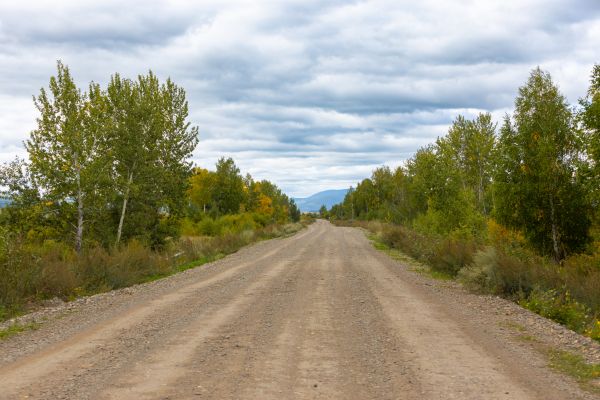 Dirt Road Repair in Sandpoint