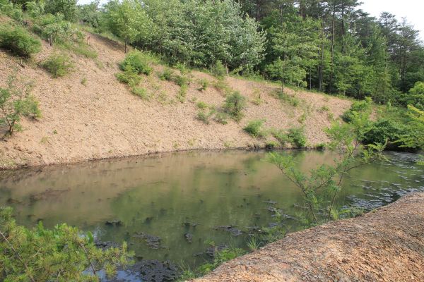 Cost of Pond Erosion Repair in Sandpoint