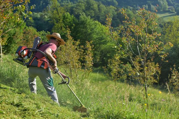 Cost of Slope Trimming in Sandpoint