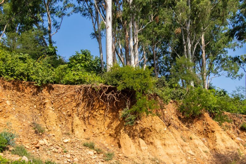 Slope Grading for Erosion Control